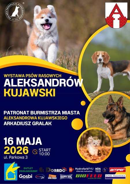 Międzynarodowa Wystawa Psów Rasowych | MCK Aleksandrów Kujawski